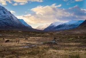 Visite privée de photographie à Édimbourg