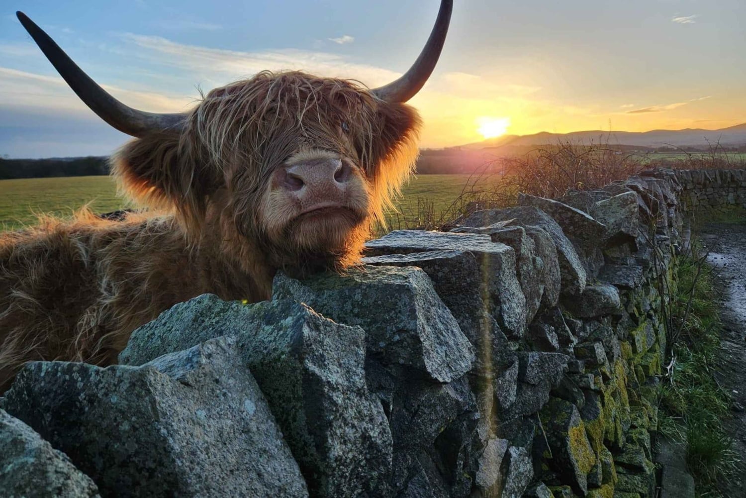 Private Tour of Highlands, Lochs & Castles from Edinburgh