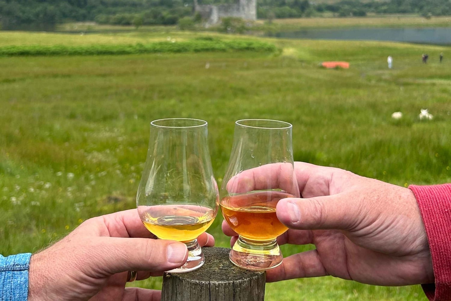 Private Tour of Highlands, Lochs & Castles from Edinburgh