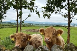 Private Tour of Highlands, Lochs & Castles from Edinburgh