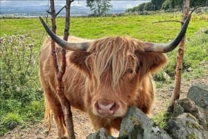 Private Tour: St Andrews, Falkland Palace, Fischerdörfer