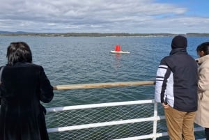 Queensferry: Firth of Forth Blackness Castle Cruise