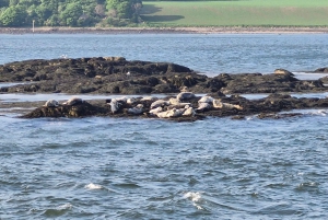 Queensferry: обзорный круиз на остров Инчколм