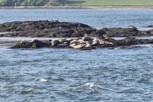 クイーンズフェリー：インチコルム島への観光クルーズ