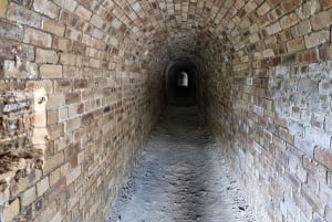 クイーンズフェリー：インチコルム島への観光クルーズ