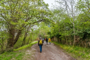 Rosslyn Chapel and Hadrian's Wall Small Group Day Tour