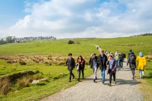 Rosslyn Chapel and Hadrian's Wall Small Group Day Tour