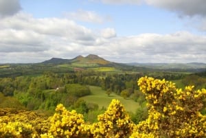 Visita a la Capilla de Rosslyn y los Borders escoceses desde Edimburgo