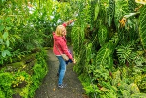 Royal Botanic Garden Edinburgh Private Guided Tour