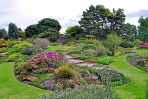 Royal Botanic Garden Edinburgh Private Guided Tour