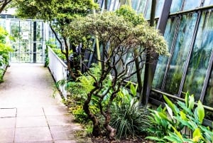 Royal Botanic Garden Edinburgh Private Guided Tour