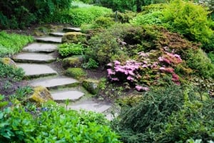 Royal Botanic Garden Edinburgh Private Guided Tour