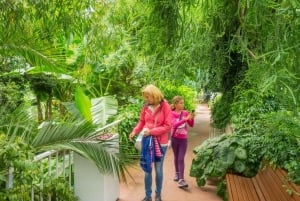 Royal Botanic Garden Edinburgh Private Guided Tour