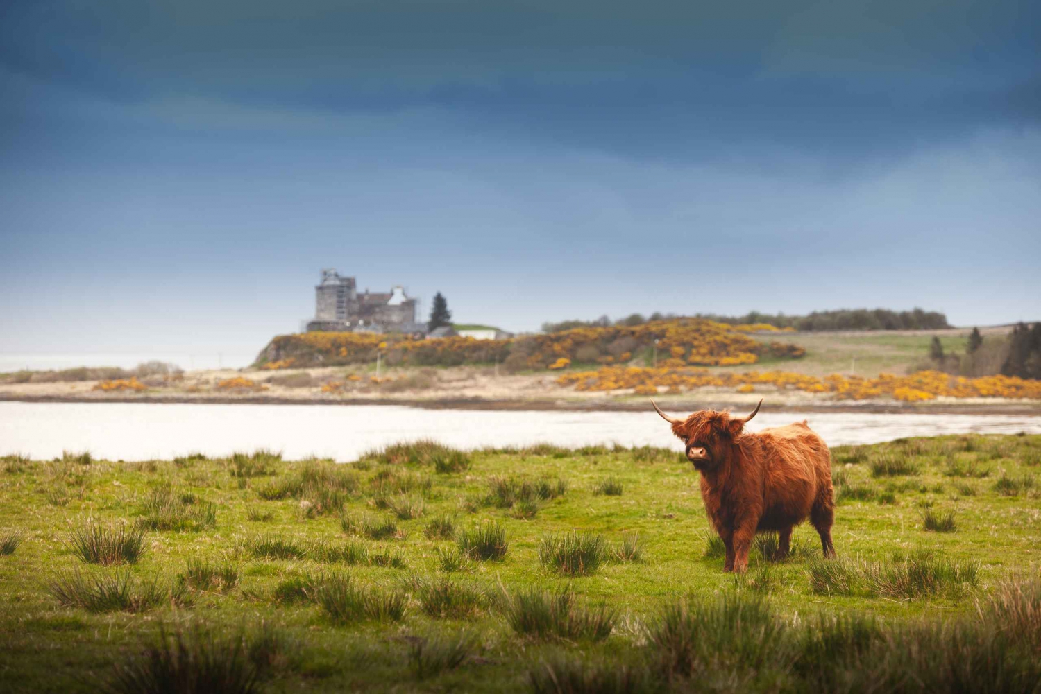 Scotland: West Highlands, Mull and Iona 4-Day Tour
