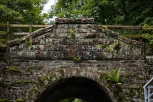 Scozia Whisky Explorer: Tour di un giorno nelle Highlands da Edimburgo