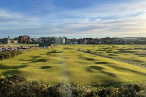 Scottish Greens: Privater Luxus-Golfplatz-Tagesausflug