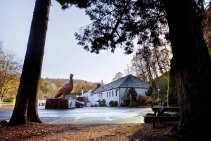 Scottish Highlands & Whisky Full-Day Tour from Edinburgh