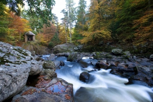 Scottish Highlands & Whisky Full-Day Tour from Edinburgh
