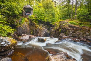 Scottish Highlands & Whisky Full-Day Tour from Edinburgh
