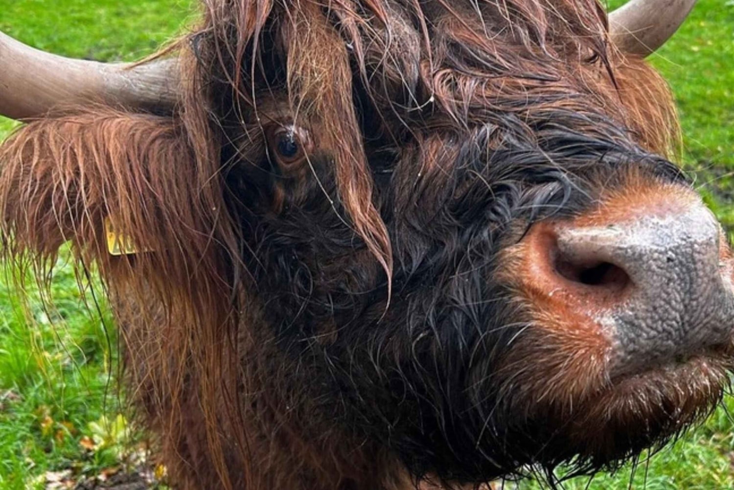 Visite privée des villages de pêcheurs de St Andrews dans le Fife au départ d'Édimbourg