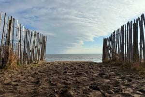 Private Tour von Edinburgh zu den Fischerdörfern von St. Andrews in Fife