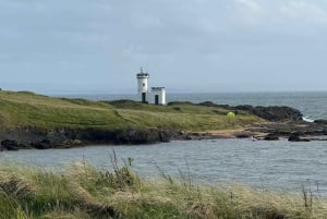 Private Tour von Edinburgh zu den Fischerdörfern von St. Andrews in Fife