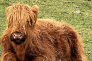 Visite privée des villages de pêcheurs de St Andrews dans le Fife au départ d'Édimbourg