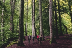 Stirling, Highlands & Destilería desde Edimburgo en español.