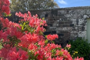 Stein og historie: Dagsutflukt til Rosslyn Chapel og Melrose Abbey