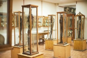 Surgeons' Hall Museums Private Guided Tour Edinburgh