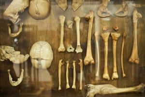 Surgeons' Hall Museums Private Guided Tour Edinburgh