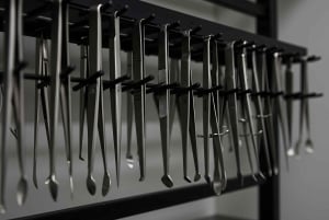 Surgeons' Hall Museums Private Guided Tour Edinburgh