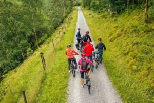 Parco nazionale di Trossachs: Tour in bicicletta della porta delle Highlands