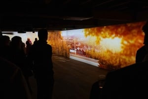 VIP-тур по винокурне и дегустация трех виски Rosebank выдержки