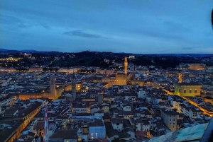 1-Hour Private Tour of Duomo Complex and Brunelleschi's Dome