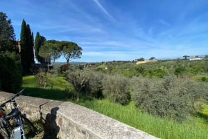 3,5 Stunden E-Bike Florenz und die toskanische Landschaft