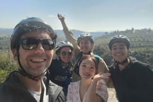 Florencja: wycieczka e-rowerem po toskańskiej wsi z winem w winnicy