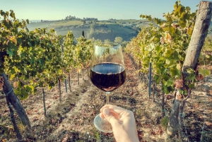 Privat omvisning i 3 Chianti-vinerier fra Firenze eller Siena