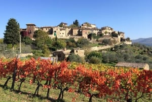 Privat omvisning i 3 Chianti-vinerier fra Firenze eller Siena