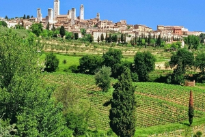 Privat omvisning i 3 Chianti-vinerier fra Firenze eller Siena