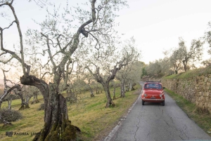 Tour particular de 3 horas no Vintage FIAT 500 Chianti Classico