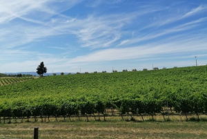 Tour particular de 3 horas no Vintage FIAT 500 Chianti Classico