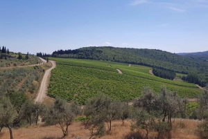 Tour particular de 3 horas no Vintage FIAT 500 Chianti Classico