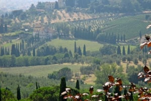 4 uur durende tour op een elektrische Vespa in Florence, ontdek Fiesole en de omgeving
