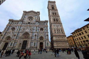 Guidet tur til Accademia, katedralen, krypten og baptisteriet