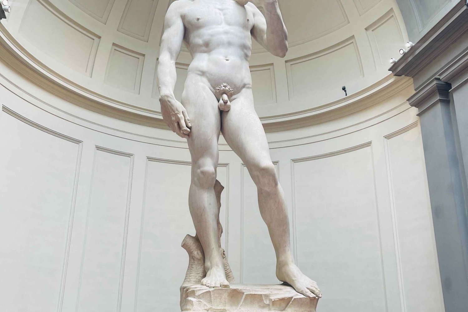 Firenze: Accademia Galleria Etusijainen sisäänpääsylipun.
