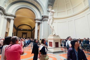 Florença: Ingresso sem fila para a Galeria da Academia e David