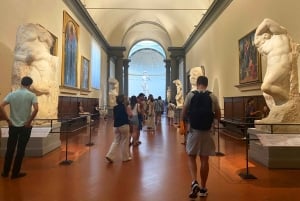 Accademia-galleriet i Firenze VIP-tur med hurtig adgang til David