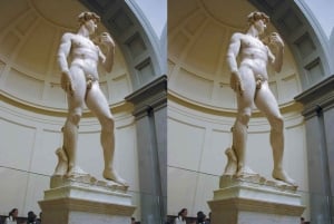 Accademia-galleriet i Firenze VIP-tur med hurtig adgang til David