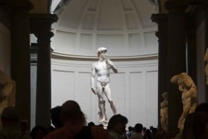 Accademia-galleriet i Firenze VIP-tur med hurtig adgang til David